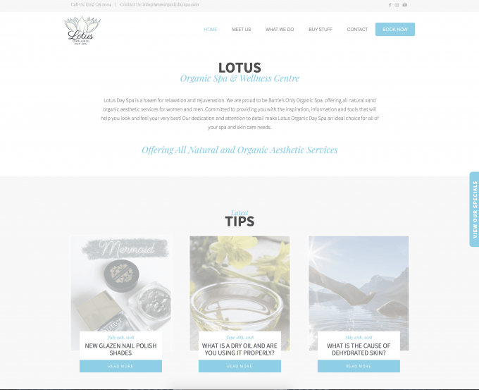 Lotus Organic Spa Barrie site Design Project Media Suite Inc.