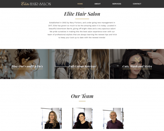 Elite Hair Salon Barrie Hair Salon site Design Project Media