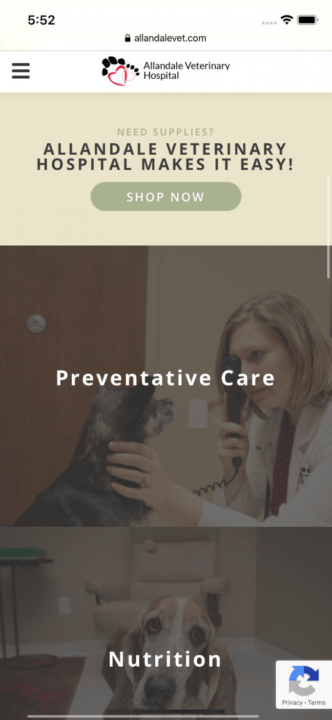 Allandale Veterinary Hospital Veterinary Clinic site Media Suite