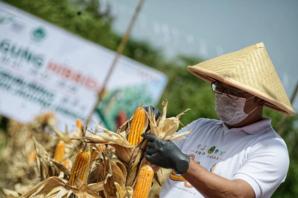 Jawa Barat Buka Pendaftaran Jadi Petani Milenial, Begini