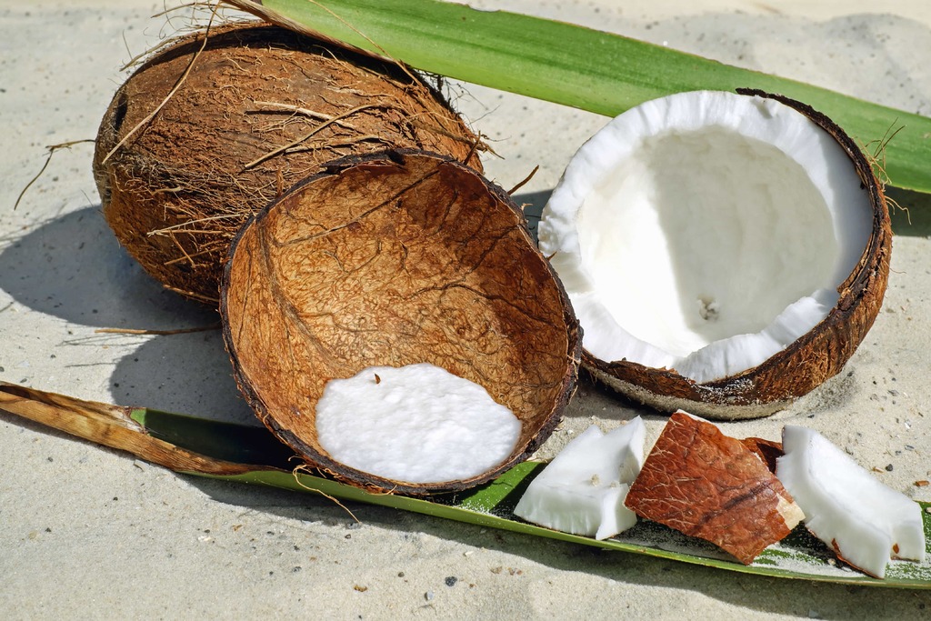 Mosquito repellents made from coconut oil are more effective Medibulletin