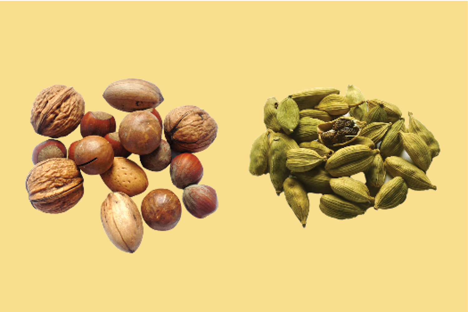 10 Spices and Herbs that Lower Blood Pressure A&D Medical