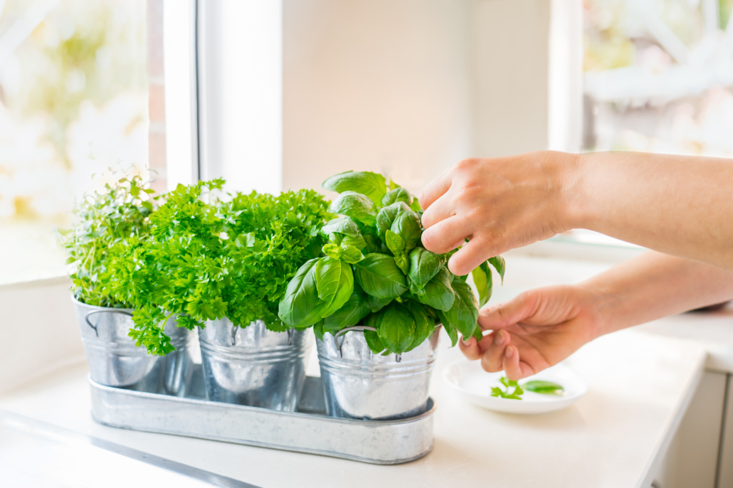 10 Spices and Herbs that Lower Blood Pressure A&D Medical