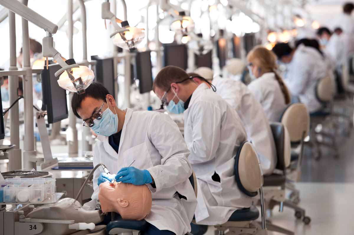 Dental School Acceptance Rates in 2022 International Medical Aid