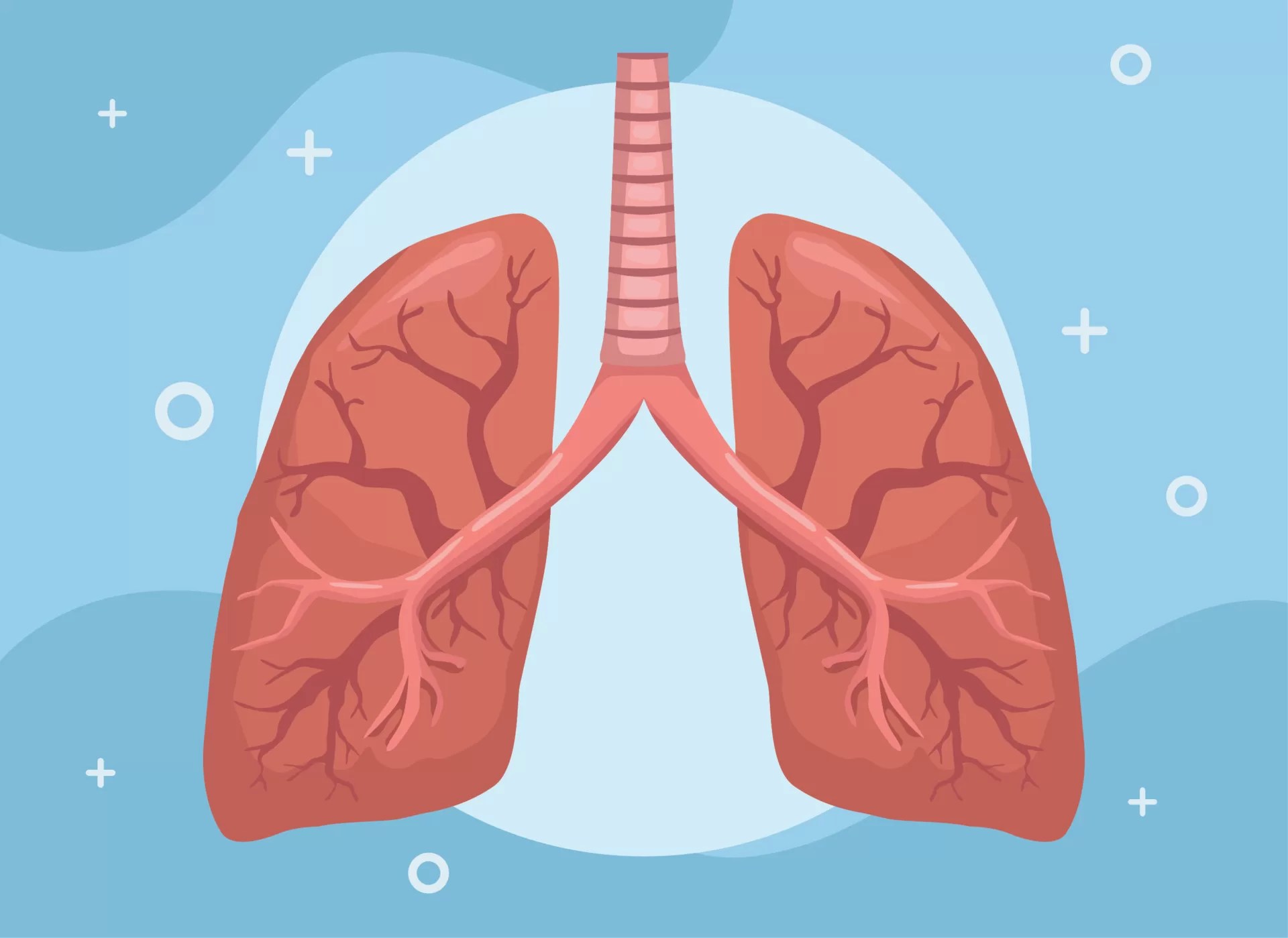 4 Major Causes Of Tight Lungs And Remedies The Antidote