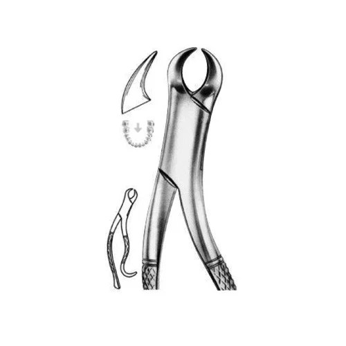 Extracting Forceps (American Pattern) Angela Wam Medium