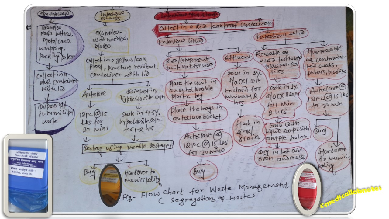 Medical Waste Segregation Chart