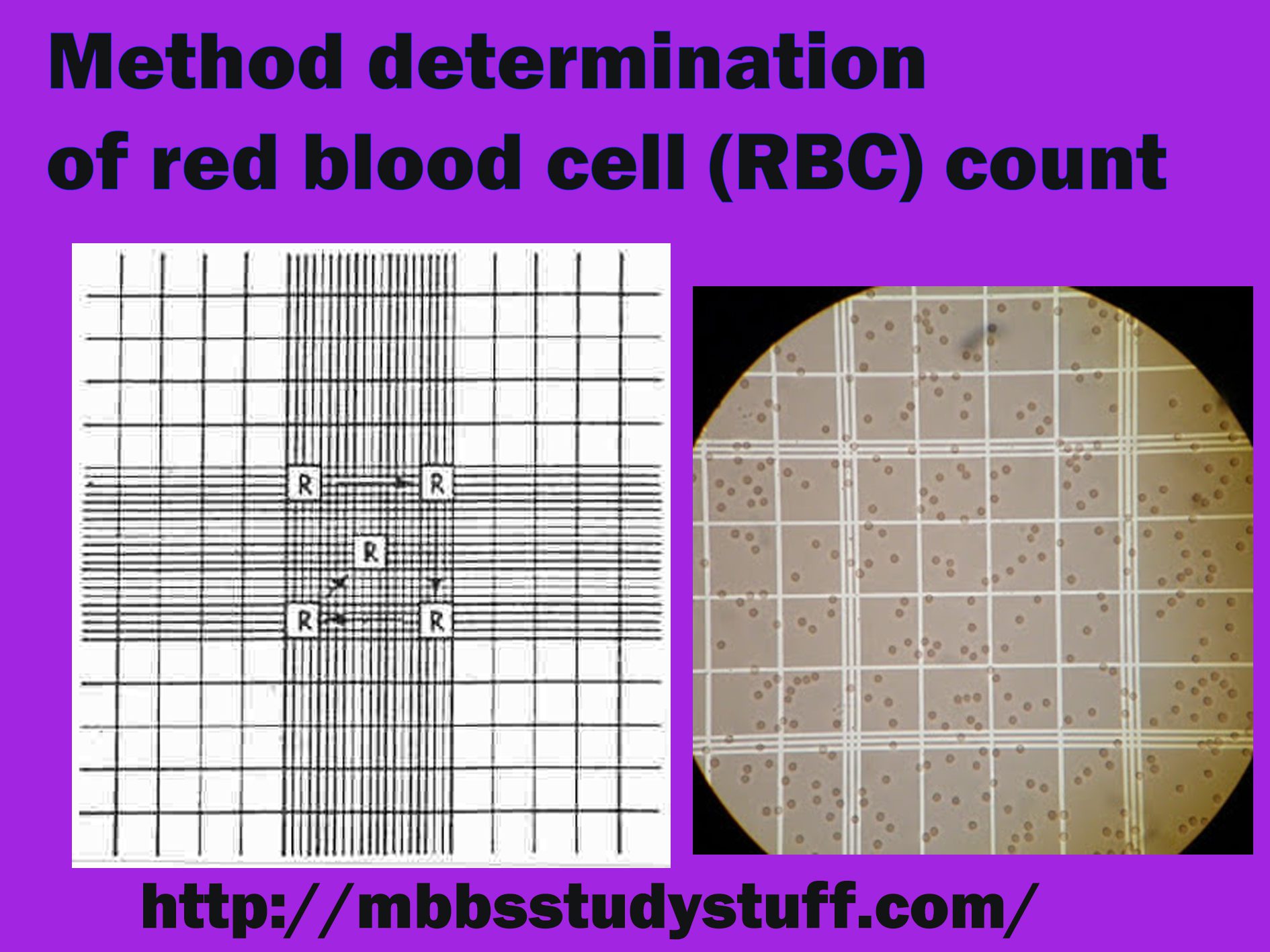 What Is Normal Red Blood Cell Count