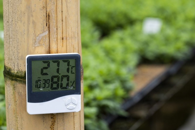 How To Control Temperature and Humidity in a Grow Room Medicanco