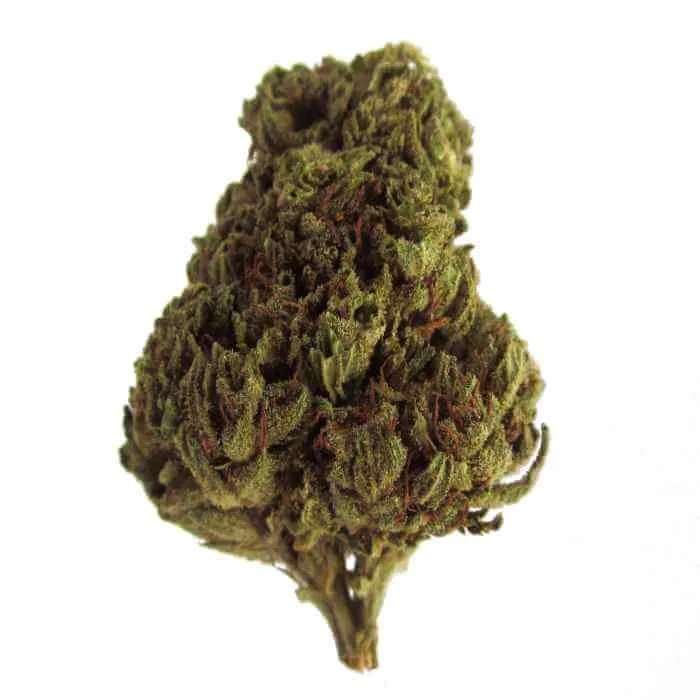 The Mango Kush Strain MHS