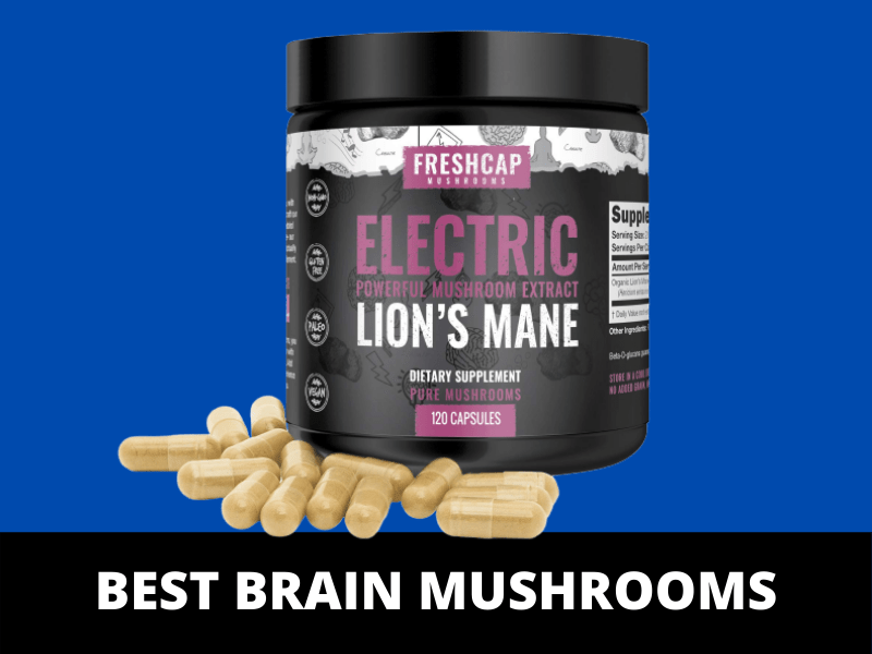 Medicinal Mushroom Supplements Medicinal Mushroom Guide