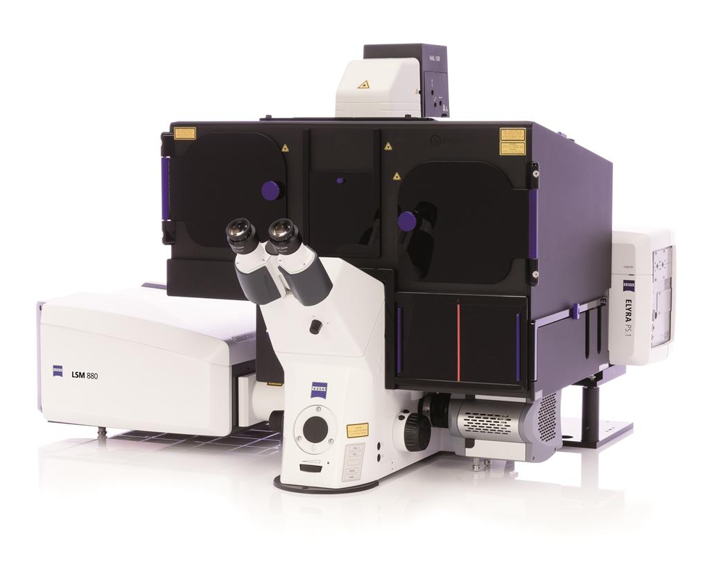 LSM 880 Elyra Superresolution | Temerty Faculty of Medicine