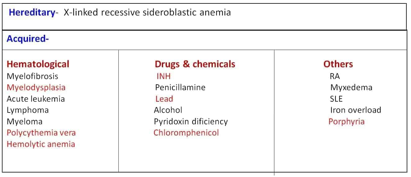 Sideroblastic anaemia