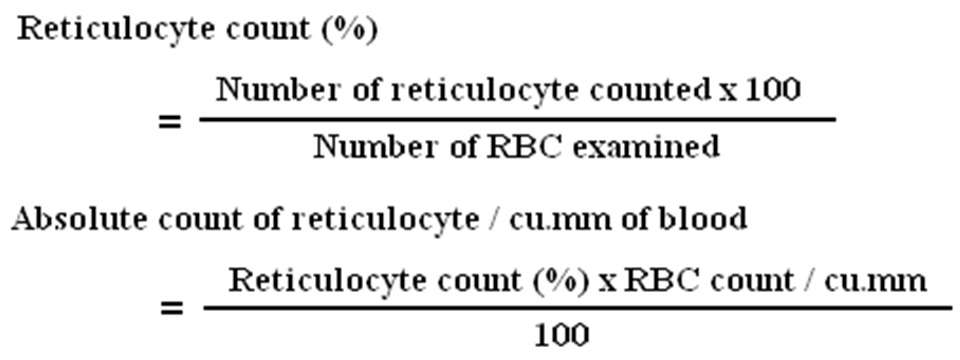 Quantification of Reticulocyte MedicoInfo
