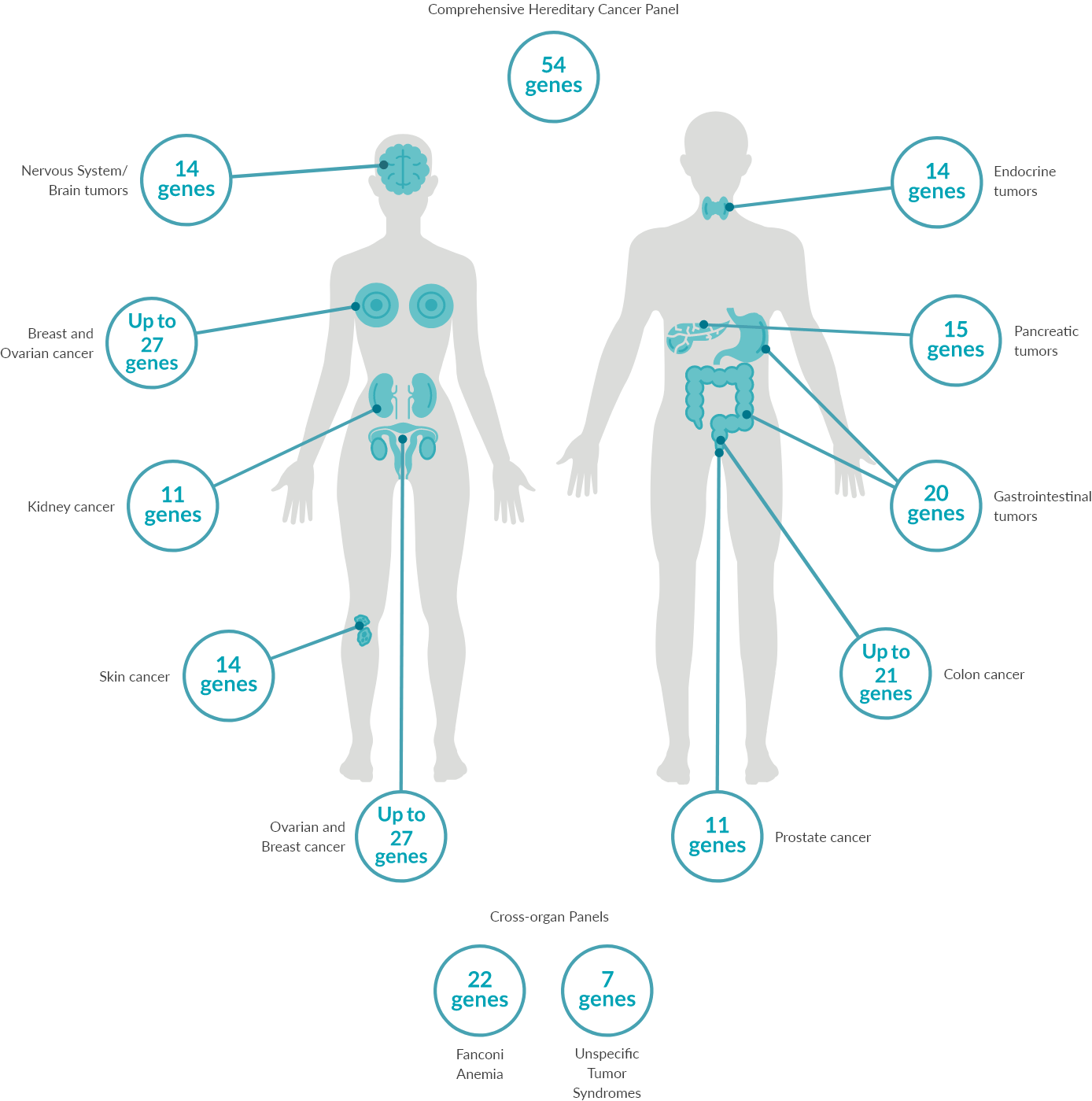 Hereditary Cancer Panels Predict&Prevent Medicover
