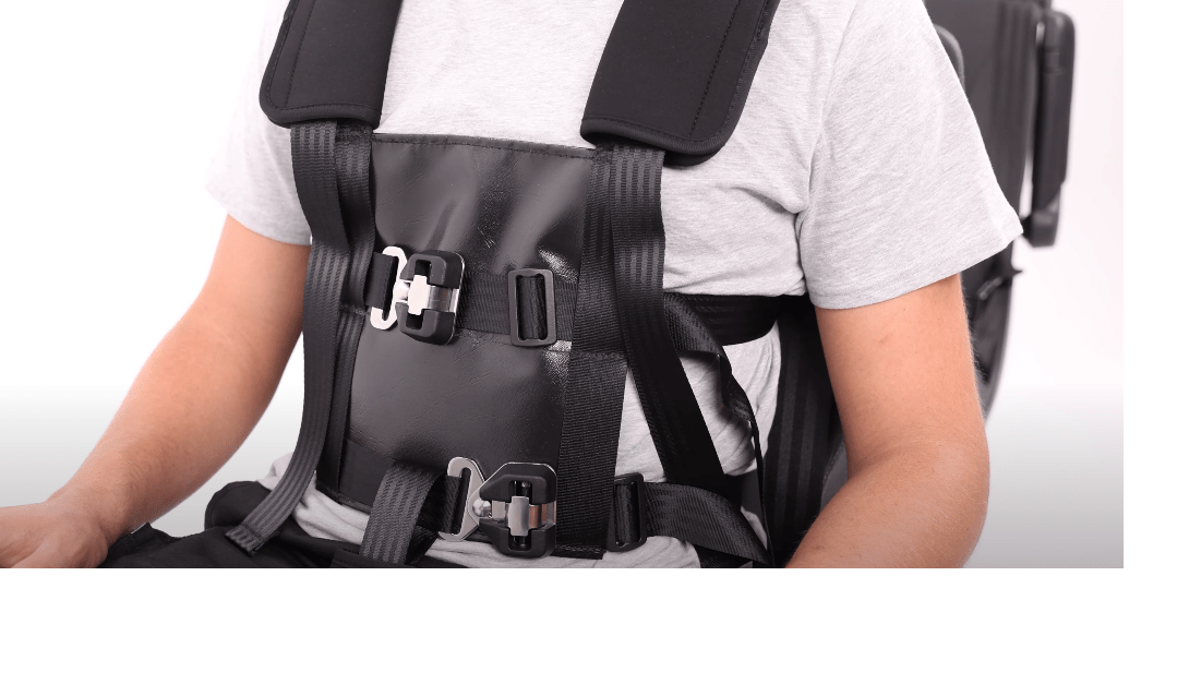 Houdini Vehicle Harnesses What to Consider and What Are the Options