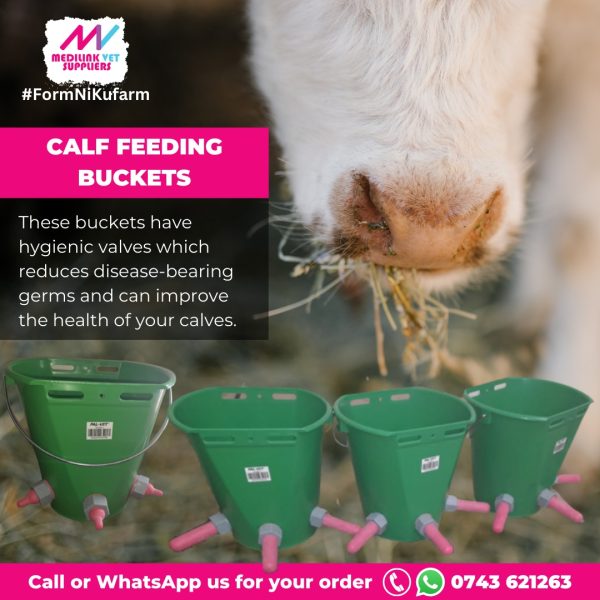 Calf Feeding Buckets Medilink Vet Suppliers