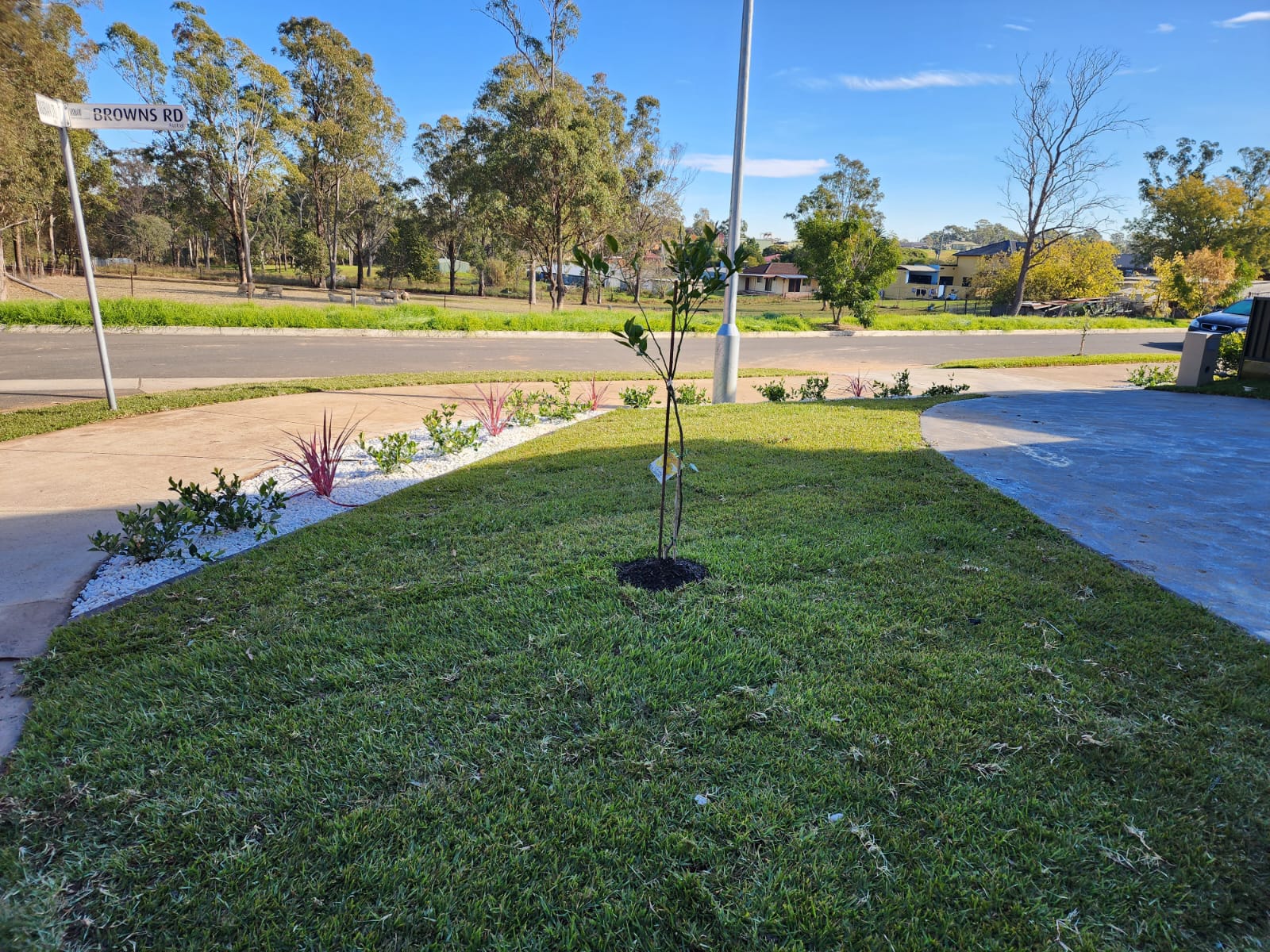 Landscaping Medina Homes