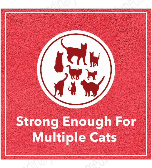 Drools Clumping Lavender Fragrance Cat Litter (For multiple cats), 5kg