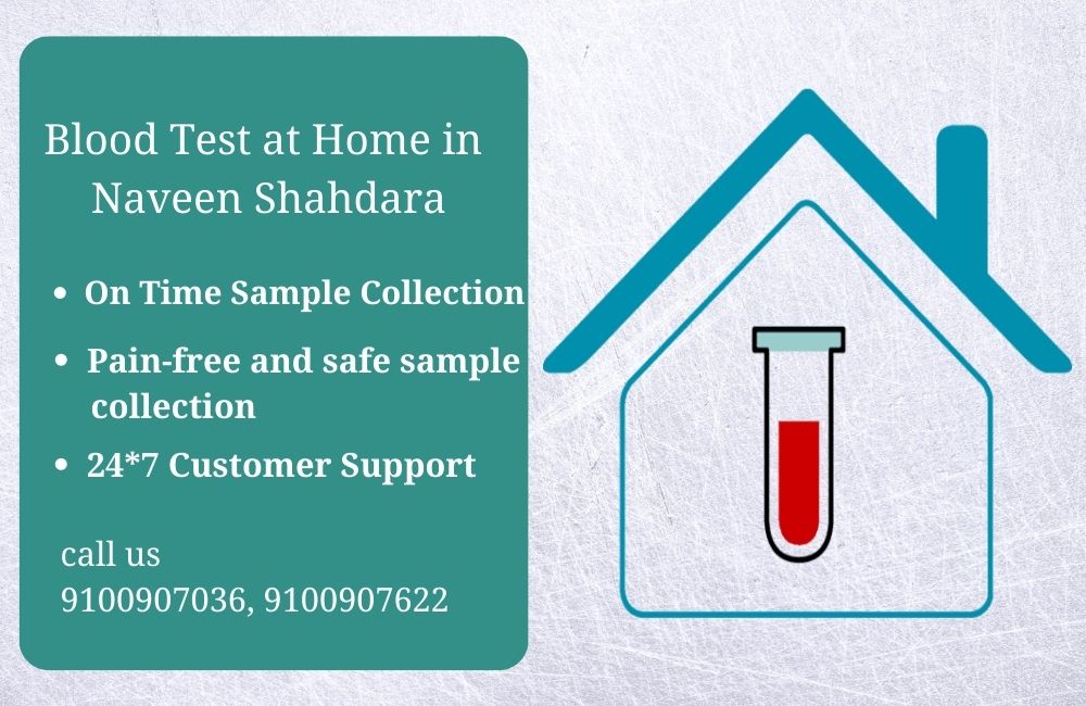 Blood Test In Naveen Shahdara Home sample Collection Medintu