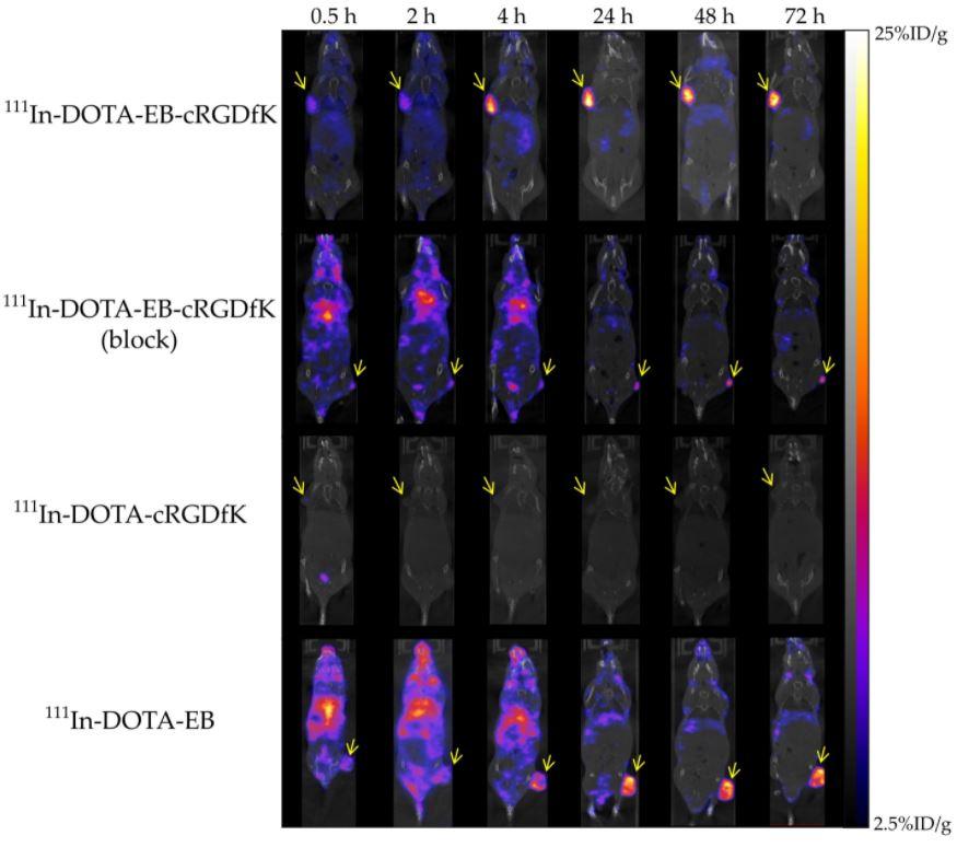 Mediso Molecular Imaging and Preclinical Studies of Radiolabeled Long