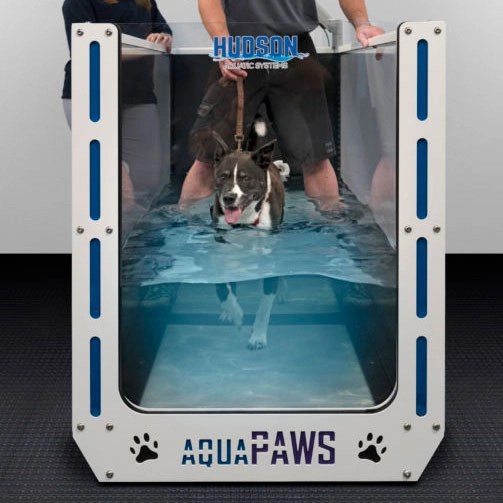 How Much Is An Underwater Treadmill For Dogs