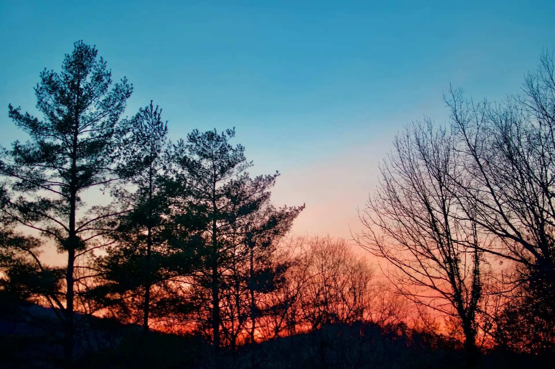 Opioid Treatment in Blairsville, MedMark