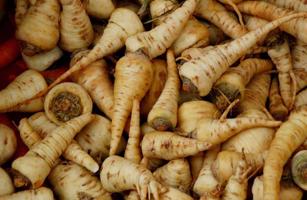 What Do Parsnips Taste Like? [Definitive Guide] Medmunch