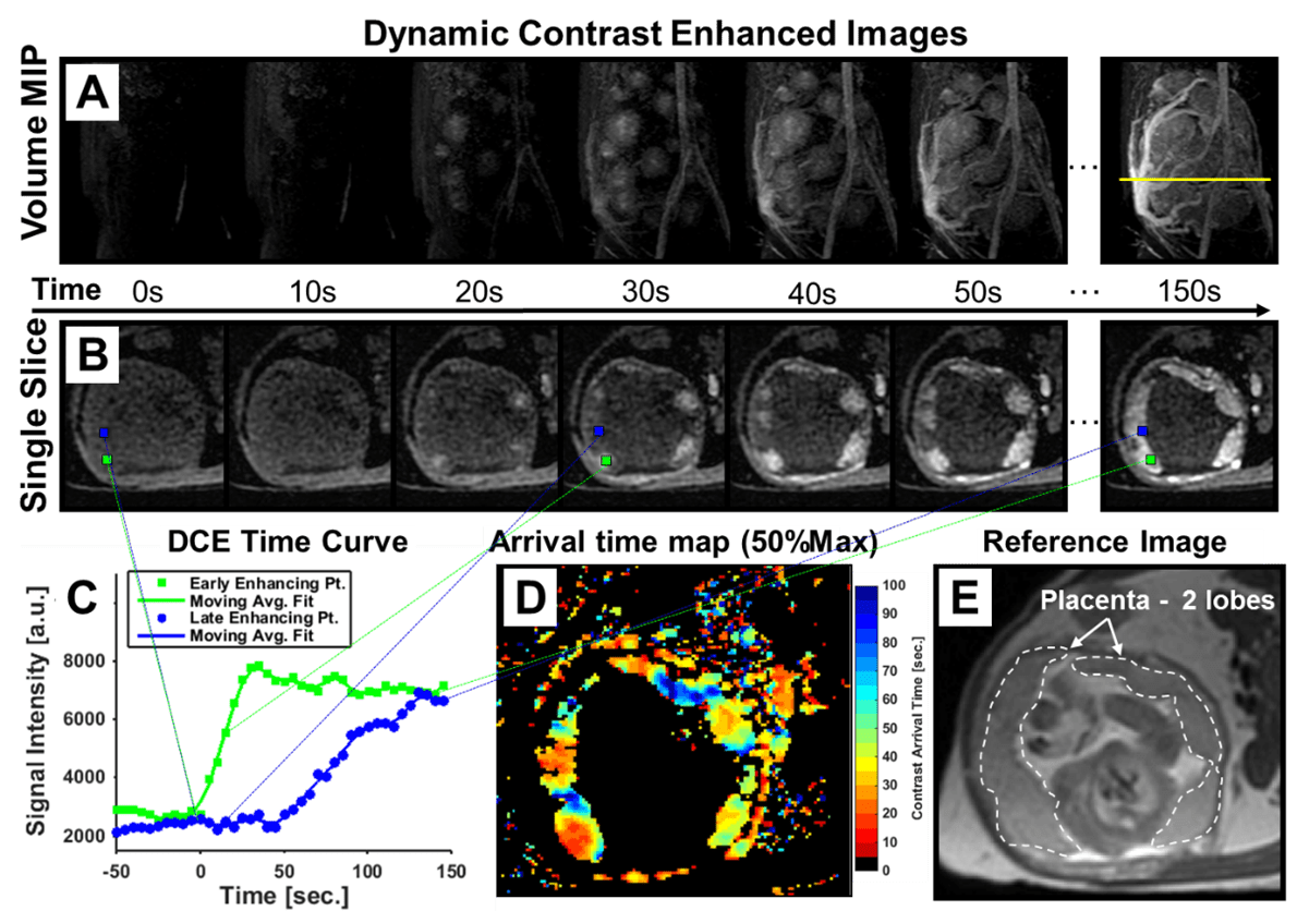 preclinical Department of Medical Physics UWMadison