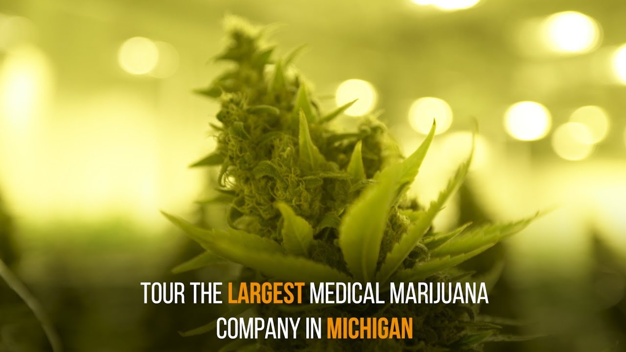 Skymint Michigan's Largest Medical Marijuana Company MED PODD