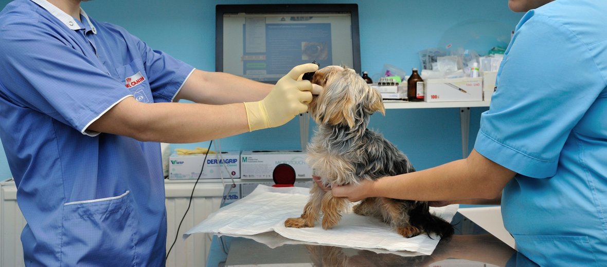 ВЕТЕРИНАРИЯ МедпоставкаМ