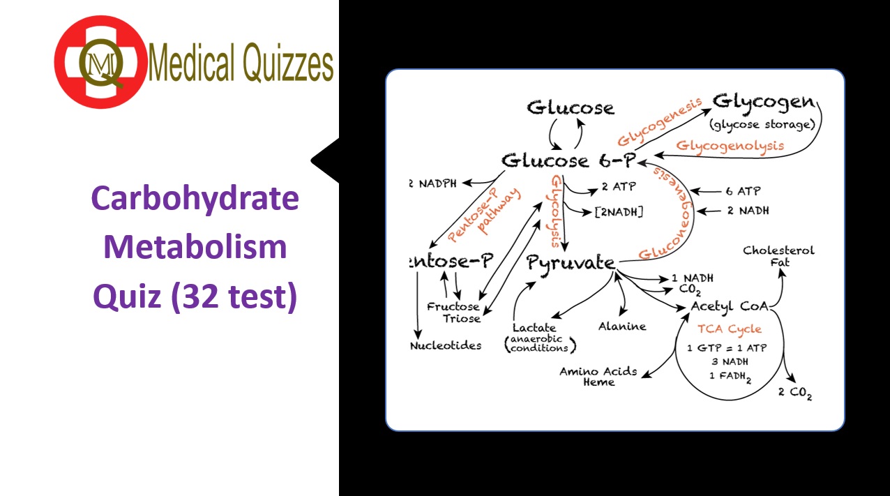 [MCQs] Carbohydrate Metabolism Quiz (32 test) MedQuizzes