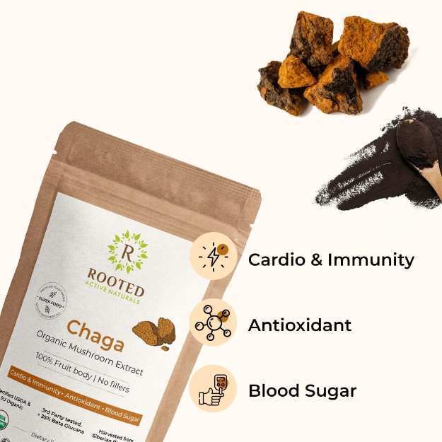 Rooted Active Naturals Chaga Organic Mushroom Extract Powder 120gm