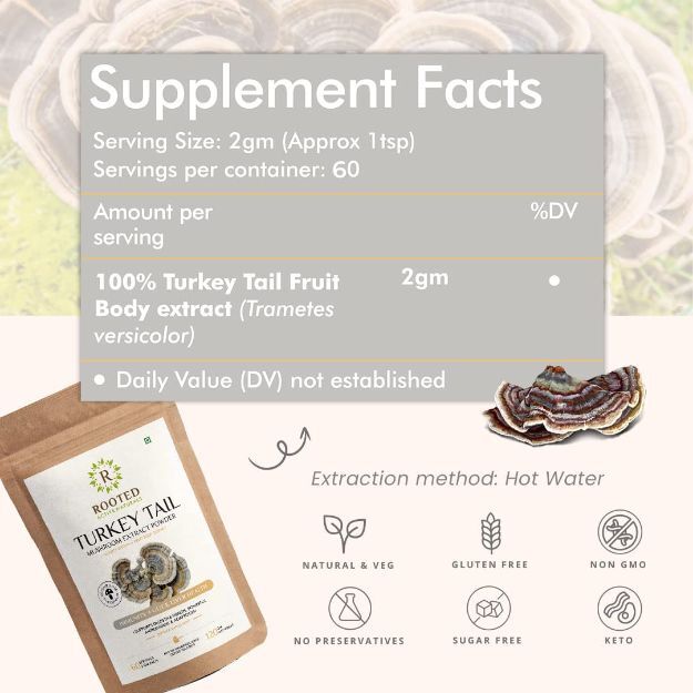 Rooted Active Natural Turkey Tail Mushroom Extract Powder Uses, Price