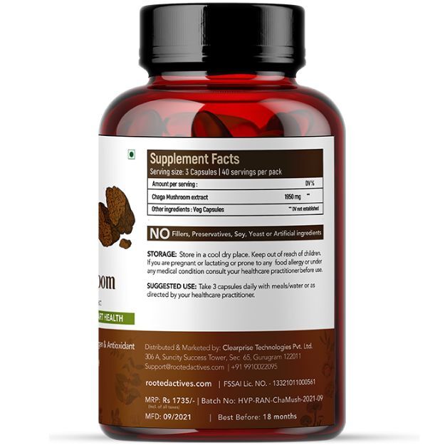 Rooted Active Natural Chaga Mushroom Extract Capsules Uses, Price