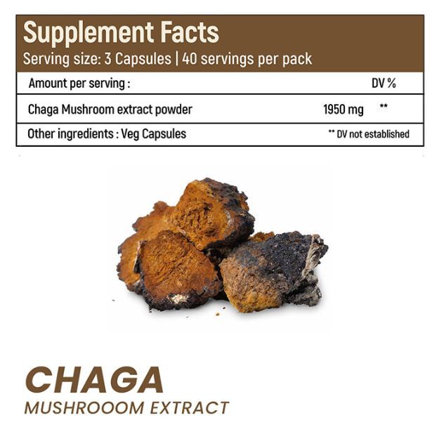 Rooted Active Natural Chaga Mushroom Extract Capsules Uses, Price