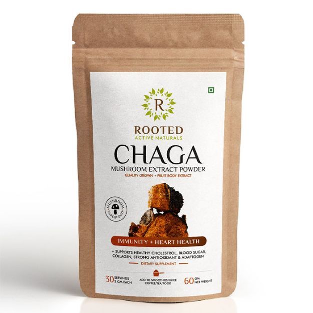Rooted Active Natural Chaga Mushroom Extract Powder Uses, Price
