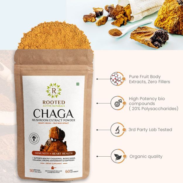 Rooted Active Natural Chaga Mushroom Extract Powder Uses, Price