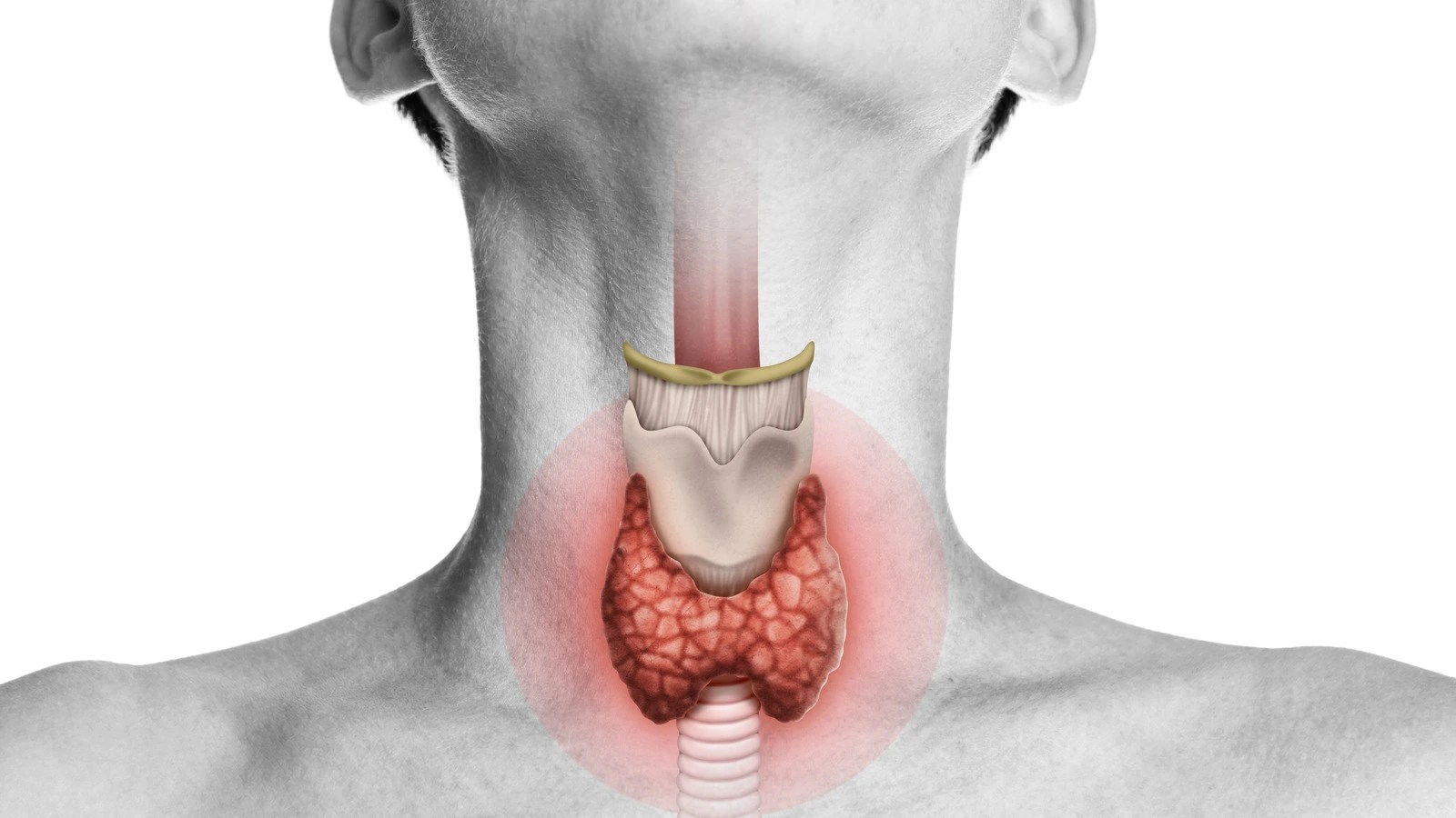 Cobblestone Throat Symptoms, treatment, and prevention