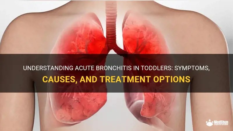 Understanding Acute Bronchitis In Toddlers Symptoms, Causes, And