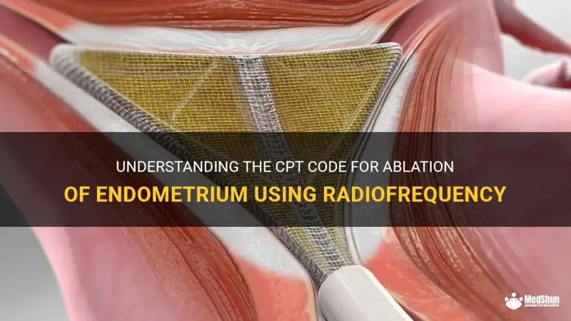 Understanding The Cpt Code For Ablation Of Endometrium Using