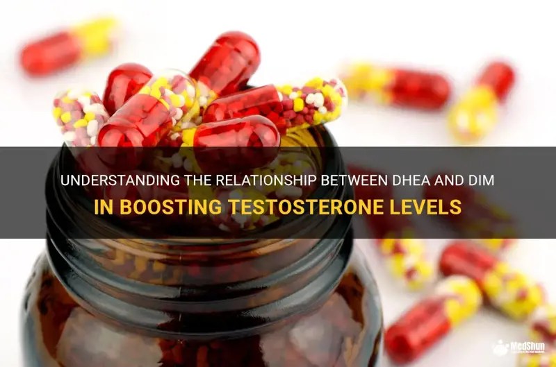 Understanding The Relationship Between Dhea And Dim In Boosting