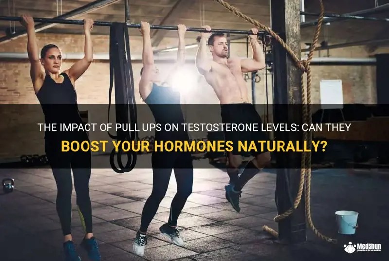 The Impact Of Pull Ups On Testosterone Levels Can They Boost Your