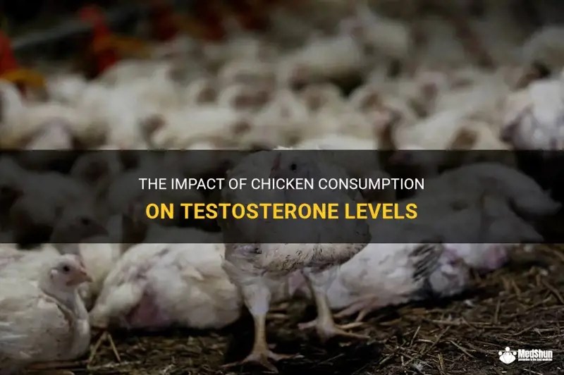 The Impact Of Chicken Consumption On Testosterone Levels MedShun