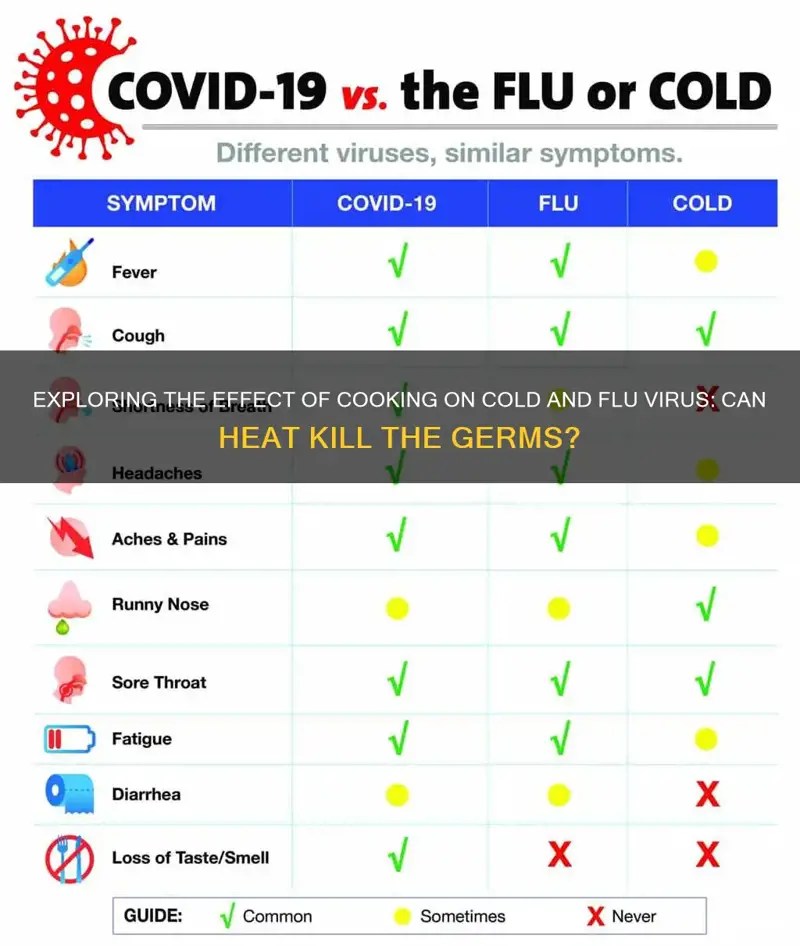 Exploring The Effect Of Cooking On Cold And Flu Virus Can Heat Kill