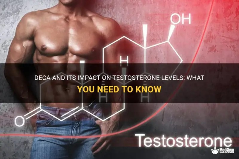 Deca And Its Impact On Testosterone Levels What You Need To Know MedShun