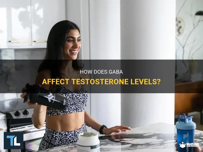 How Does Gaba Affect Testosterone Levels? MedShun
