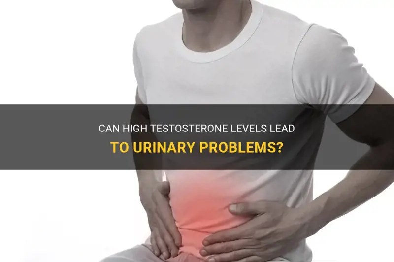 Can High Testosterone Levels Lead To Urinary Problems? MedShun