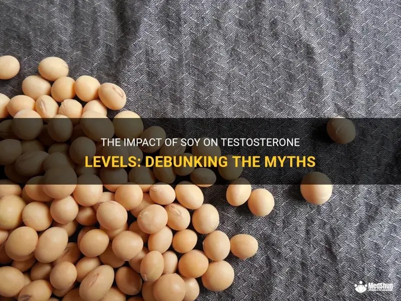 The Impact Of Soy On Testosterone Levels Debunking The Myths MedShun
