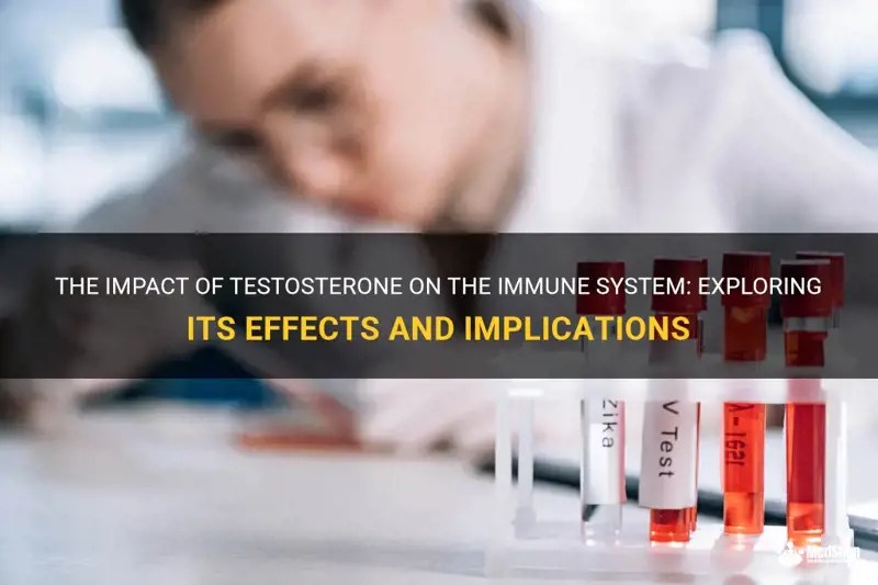 The Impact Of Testosterone On The Immune System Exploring Its Effects
